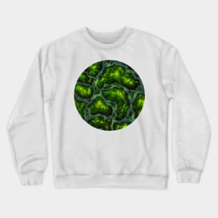 TERRA (VARIANT) Crewneck Sweatshirt